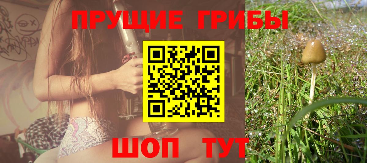 Псилоцибиновые грибы Psilocybe  Вход с VPN  Псилоцибиновые грибы Magic Shrooms  Владимир 