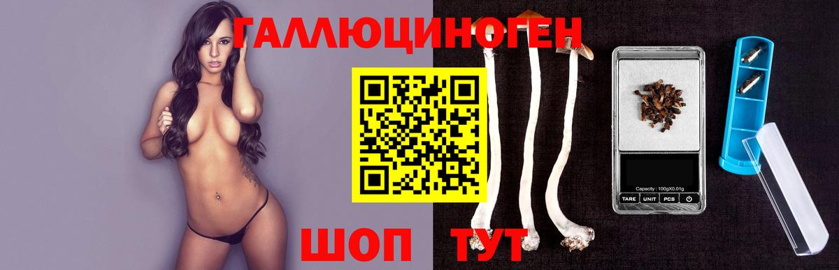 Псилоцибиновые грибы мухоморы Владимир