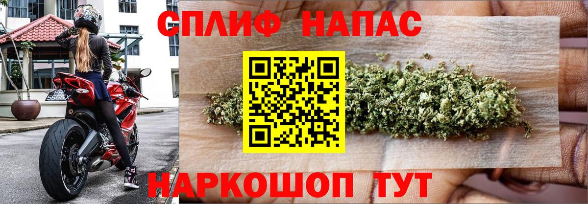 Бошки Шишки планчик Владимир